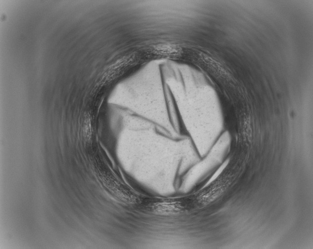 X0000059080320200510281730