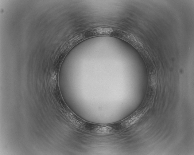 X0000059080321200510281730