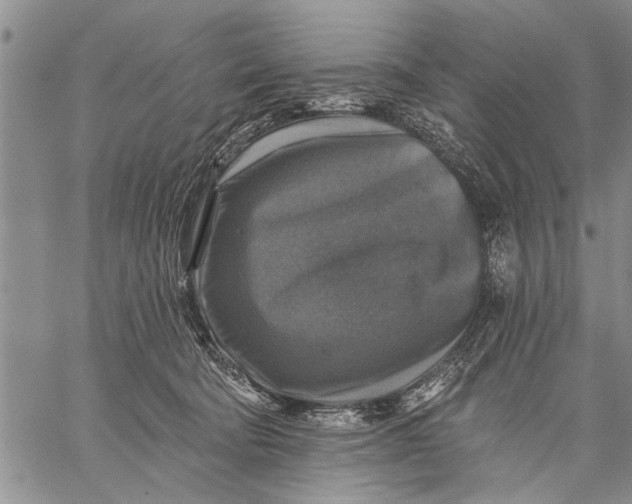 X0000059080322200510281730