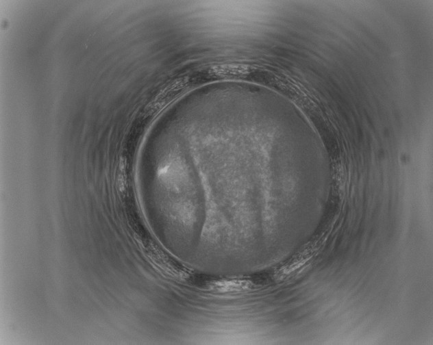 X0000059080323200510281730