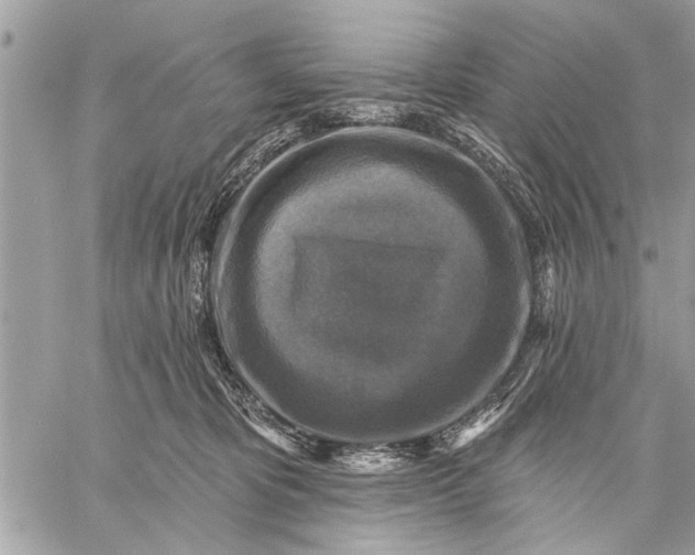 X0000059080325200510281730