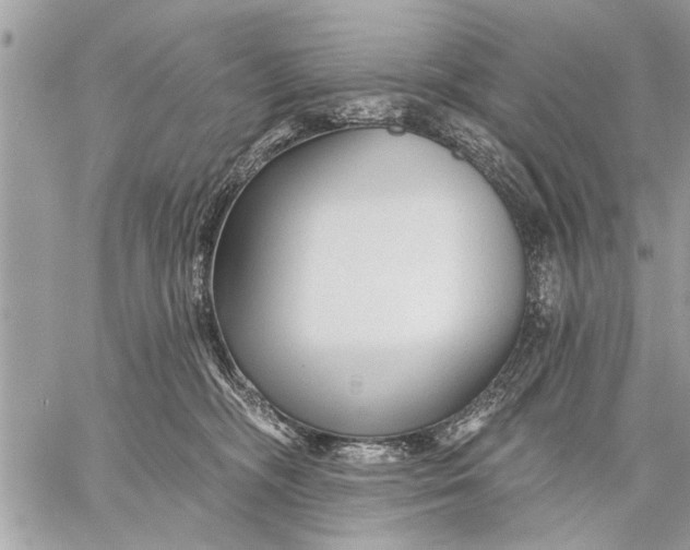 X0000059080326200510281730