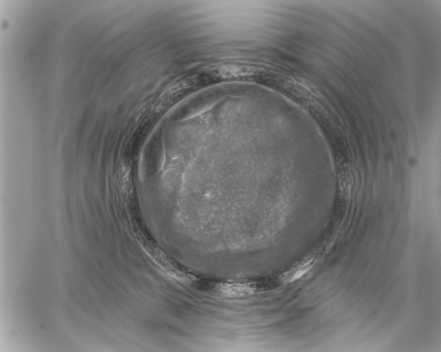 X0000059080327200510281730