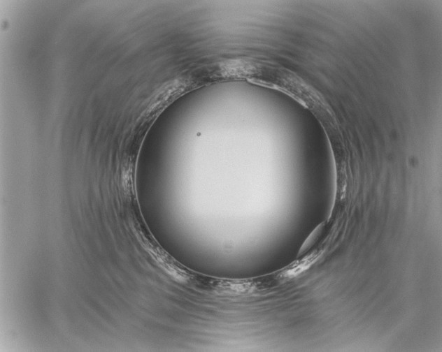 X0000059080329200510281730