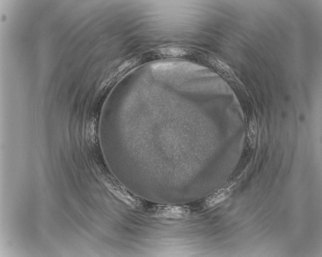 X0000059080330200510281730