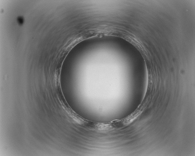 X0000059080333200510281730