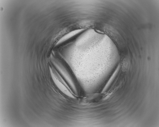 X0000059080335200510281730