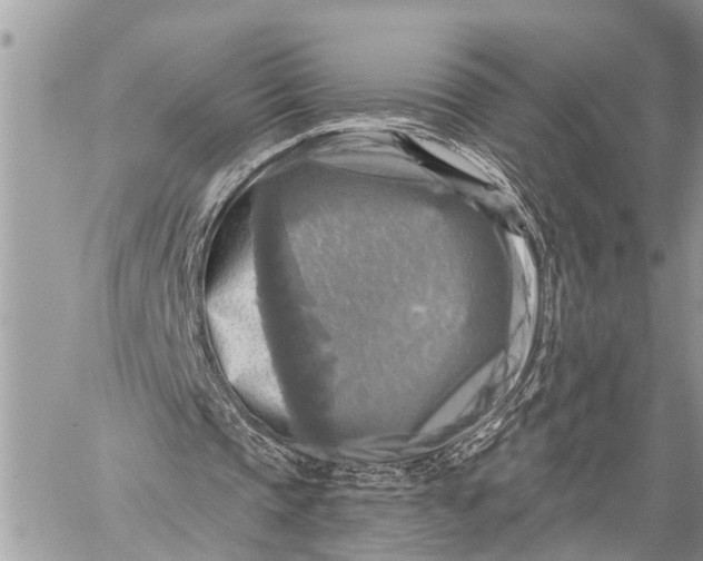 X0000059080337200510281729