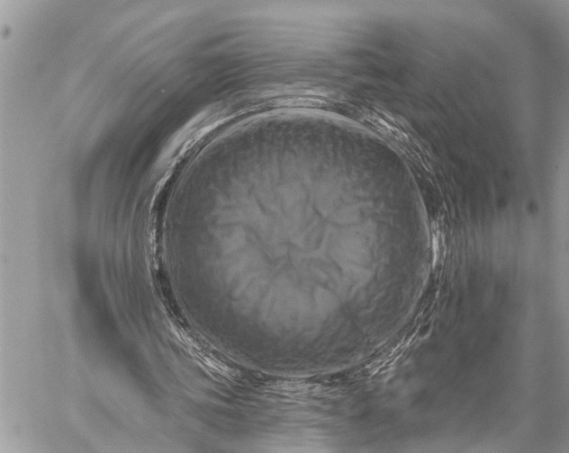 X0000059080339200510281729