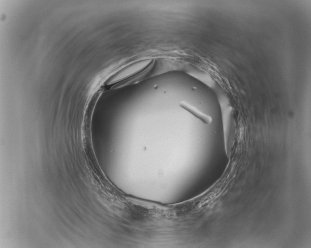 X0000059080340200510281729