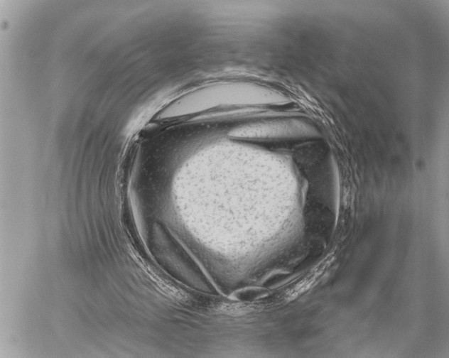 X0000059080341200510281729