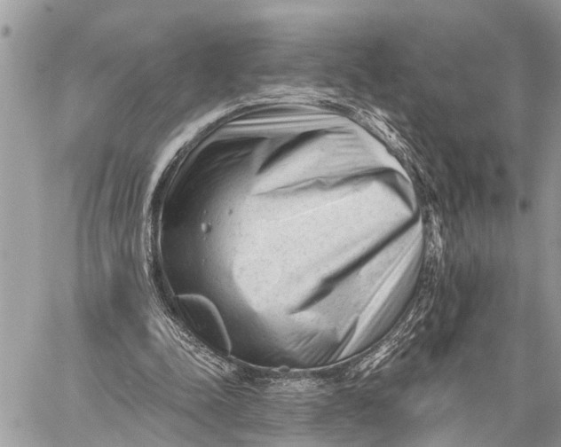 X0000059080342200510281729