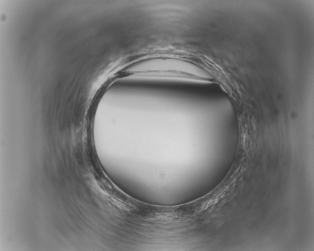 X0000059080344200510281729