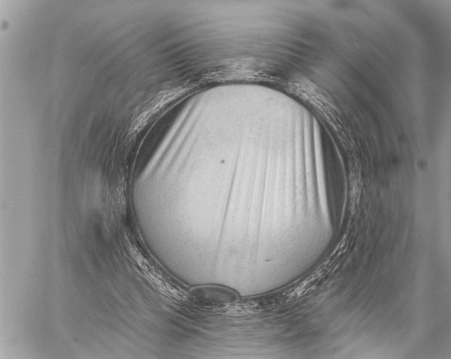 X0000059080345200510281729