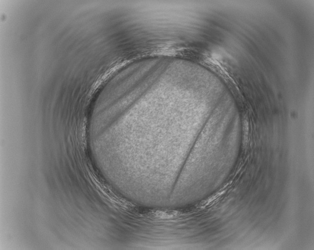 X0000059080346200510281729