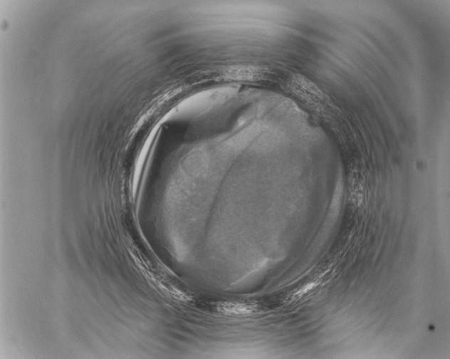 X0000059080347200510281729