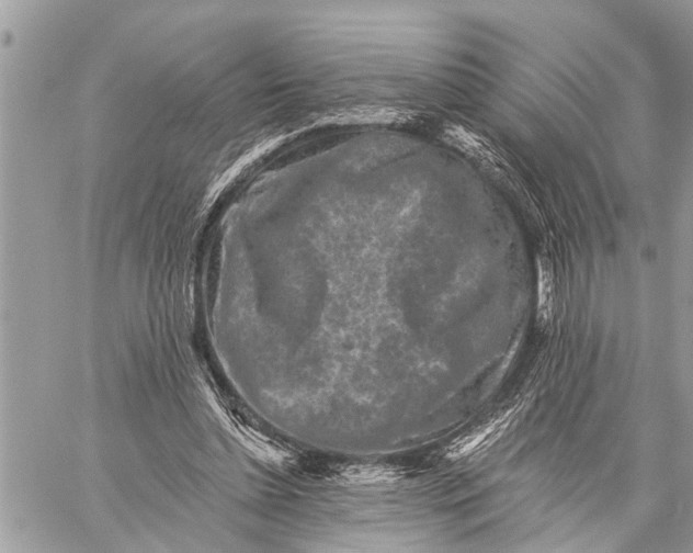 X0000059080348200510281729