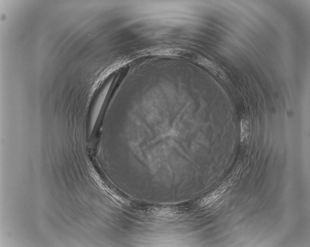 X0000059080349200510281729