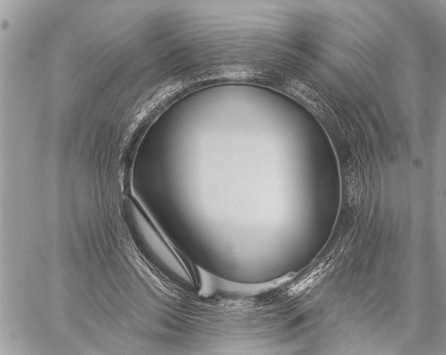 X0000059080350200510281729