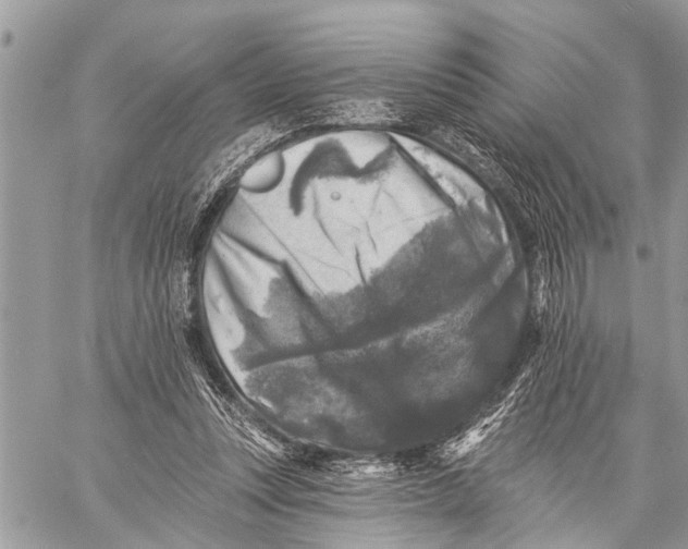 X0000059080351200510281729