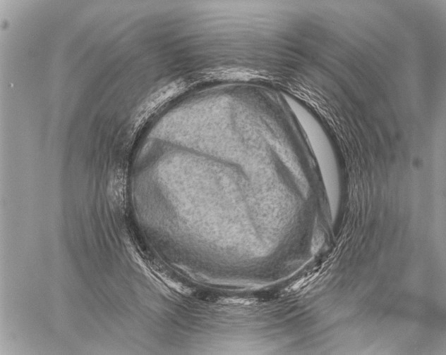 X0000059080352200510281729