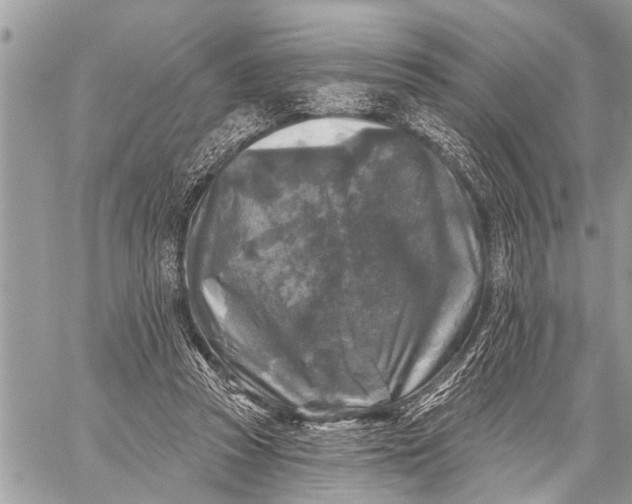 X0000059080353200510281729