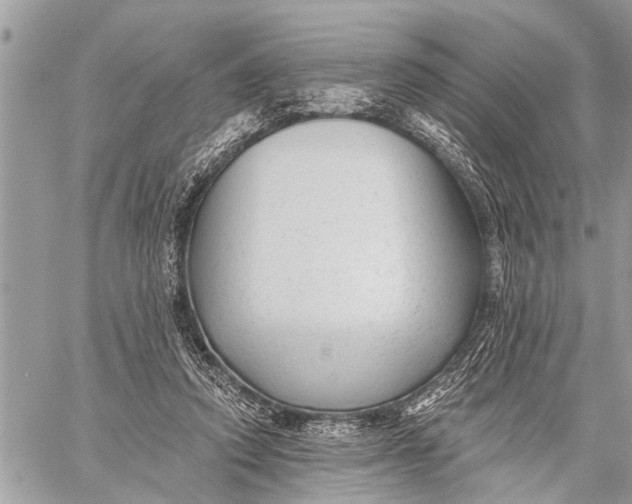 X0000059080354200510281729