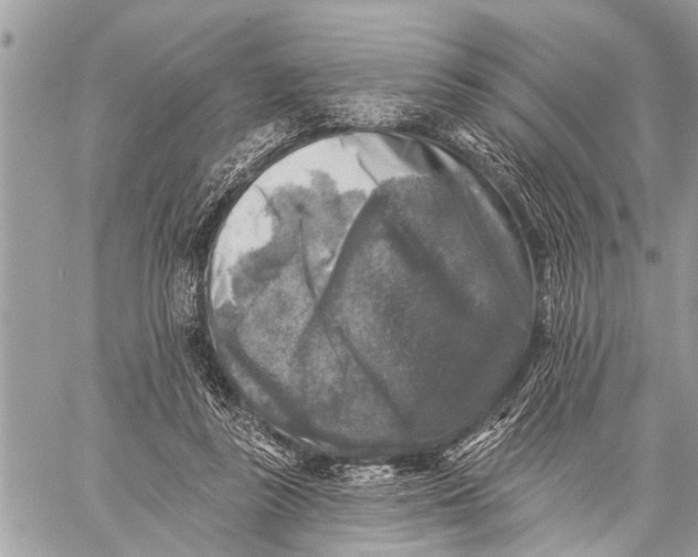 X0000059080355200510281729