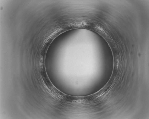 X0000059080356200510281729