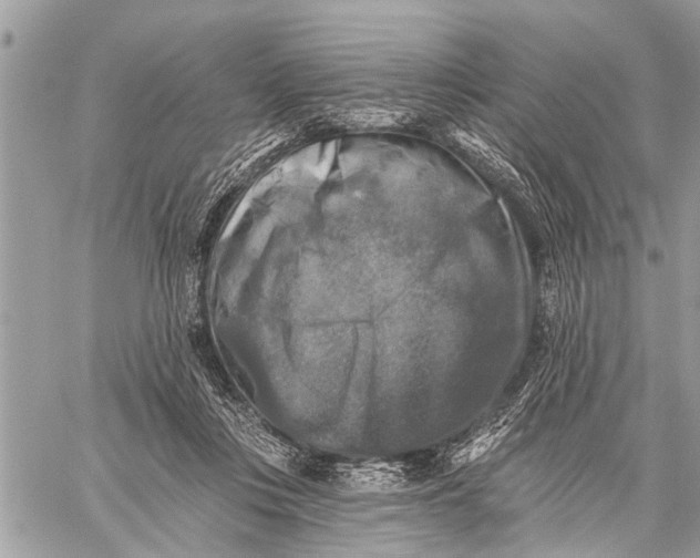 X0000059080359200510281729