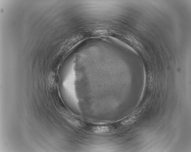 X0000059080361200510281729