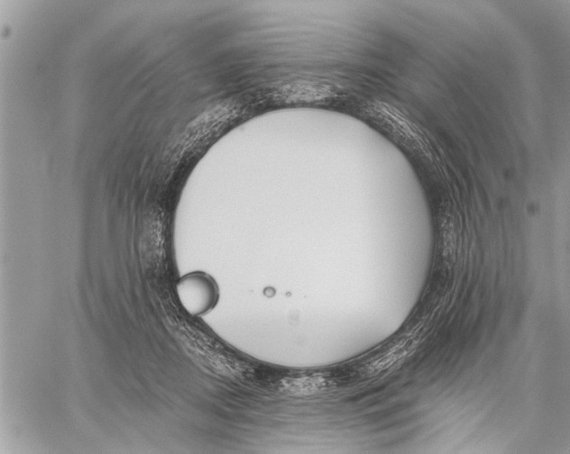 X0000059080362200510281729