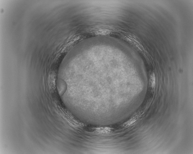 X0000059080363200510281729