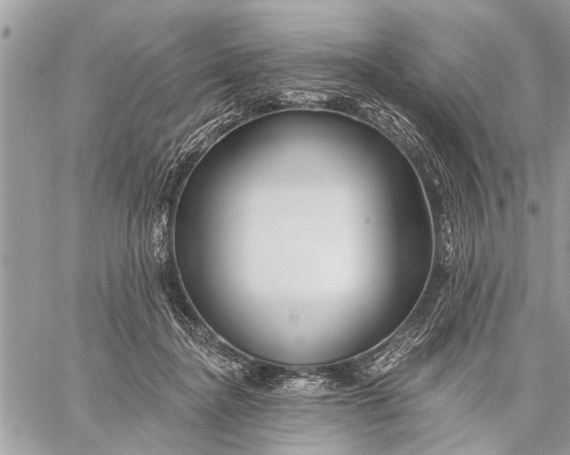 X0000059080364200510281729