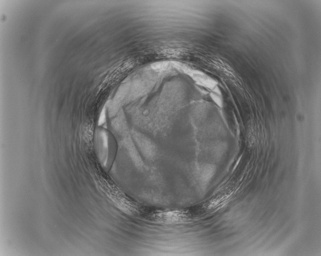 X0000059080365200510281729