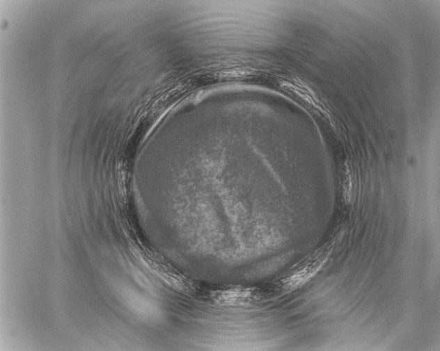 X0000059080366200510281729