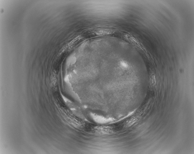 X0000059080367200510281729