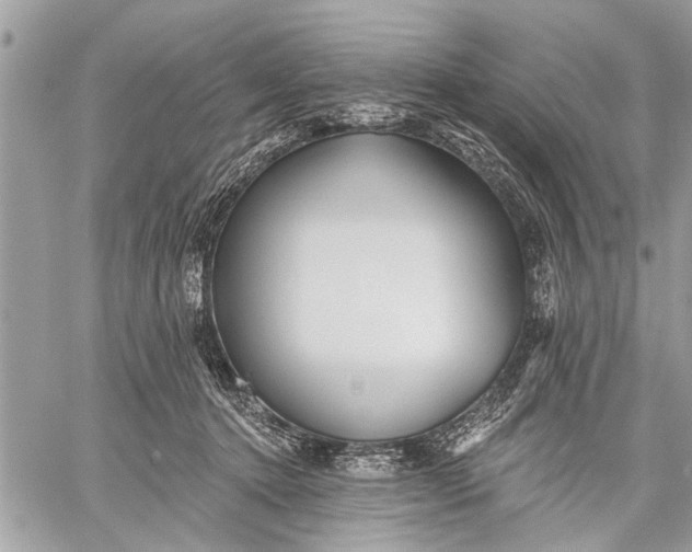 X0000059080368200510281729