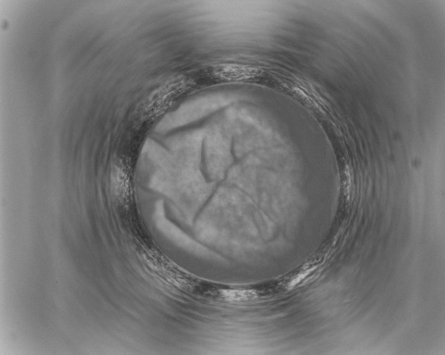 X0000059080371200510281730