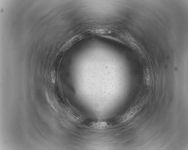 X0000059080374200510281730