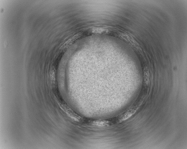 X0000059080375200510281730