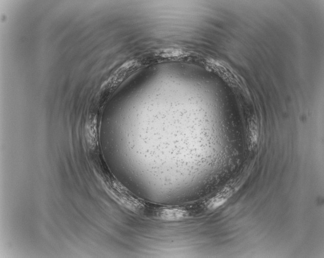 X0000059080376200510281730