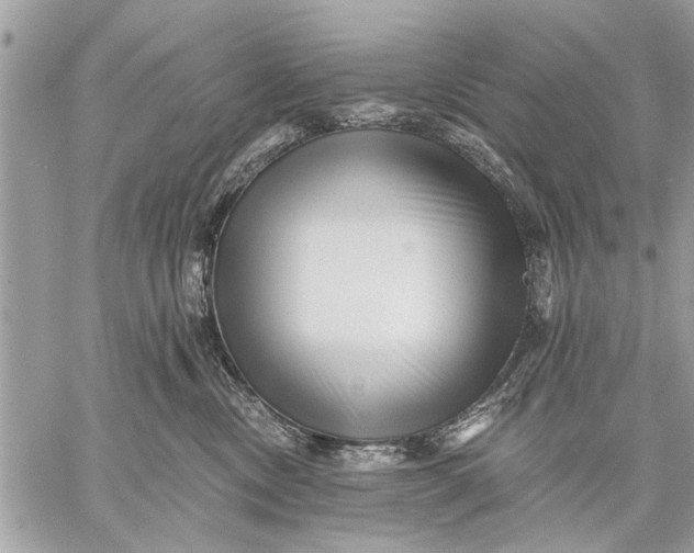 X0000059080378200510281730