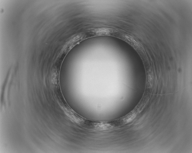 X0000059080379200510281730