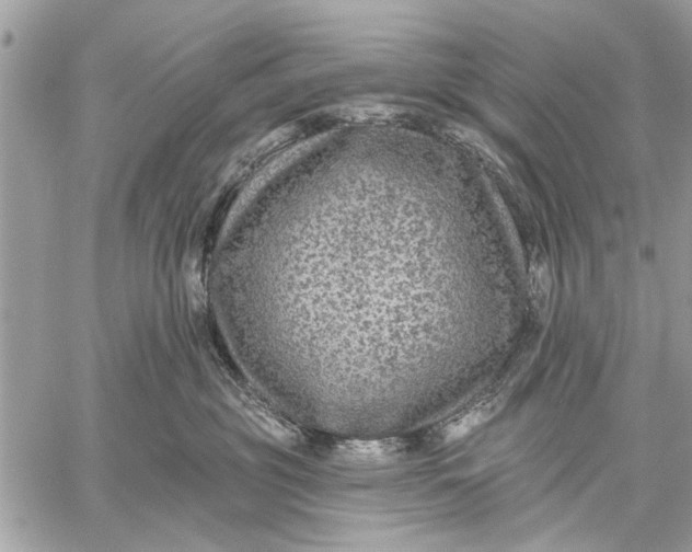 X0000059080381200510281730