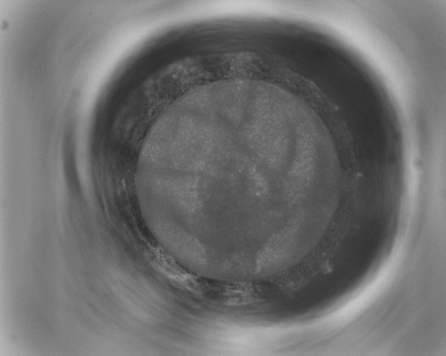 X0000059080382200510281730