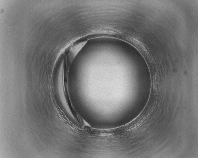 X0000059080388200510281729