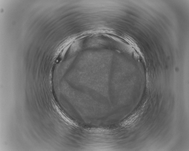 X0000059080389200510281729