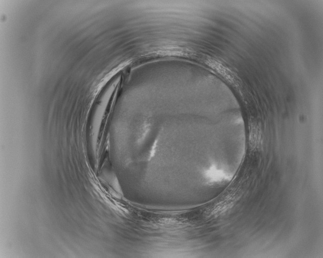 X0000059080390200510281729