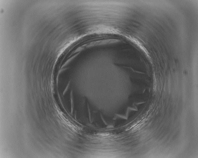 X0000059080391200510281729